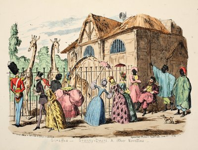Giraffes - Granny Dears and Other Novelties, pub. 1886 by George Cruikshank